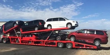 6 CAR TRAILER - LO PRO